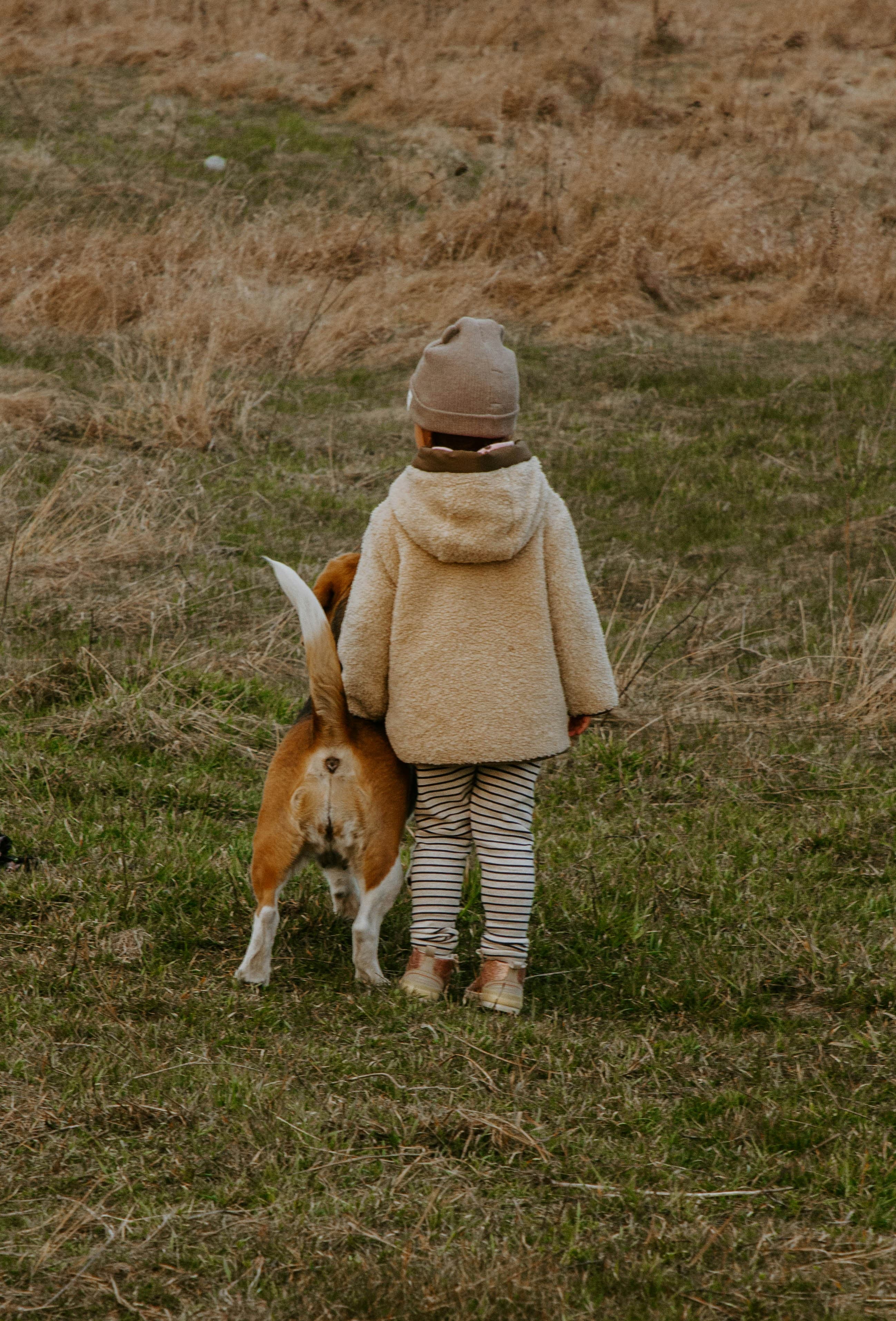 Enfant et chien dans la nature
