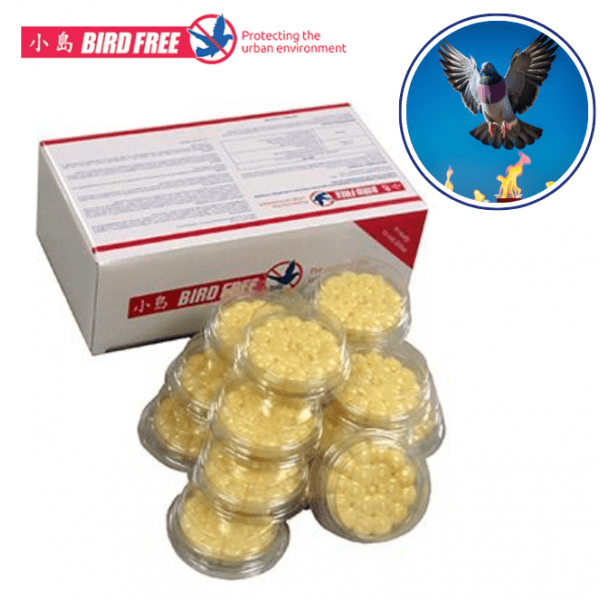 BIRD FREE Coupelles Standards (×15)