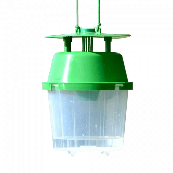 Funnel Trap Transparent - (Processionnaires & Pyrale)