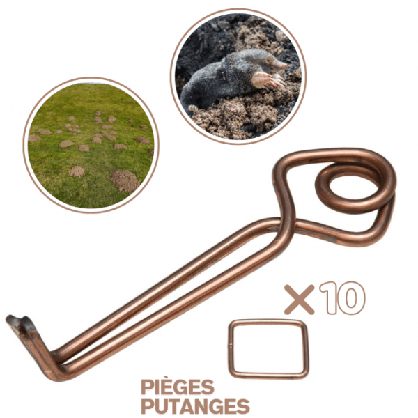 Lot de 10 Pièges à Taupes Putanges + 10 Tentes