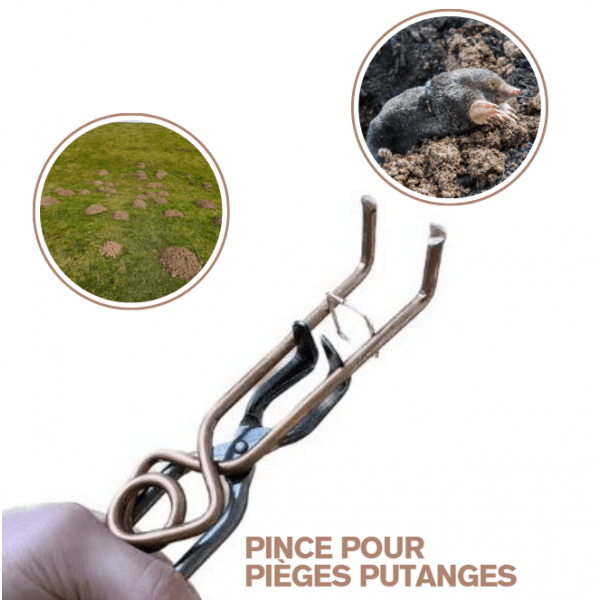 Pince de Pose pour Pièges à Taupes Putanges
