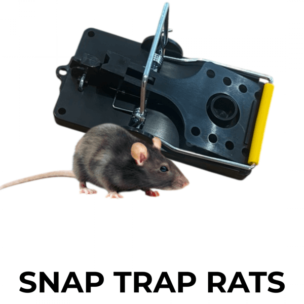 Snap Trap pour Rats