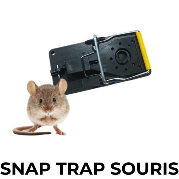 Snap Trap pour Souris